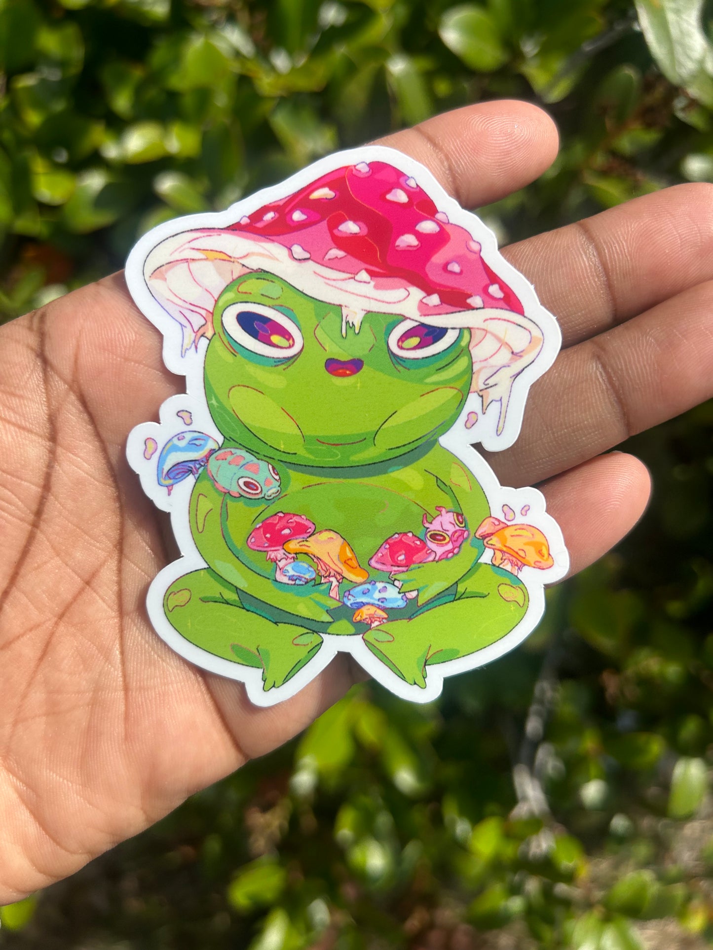 Froggy Boys
