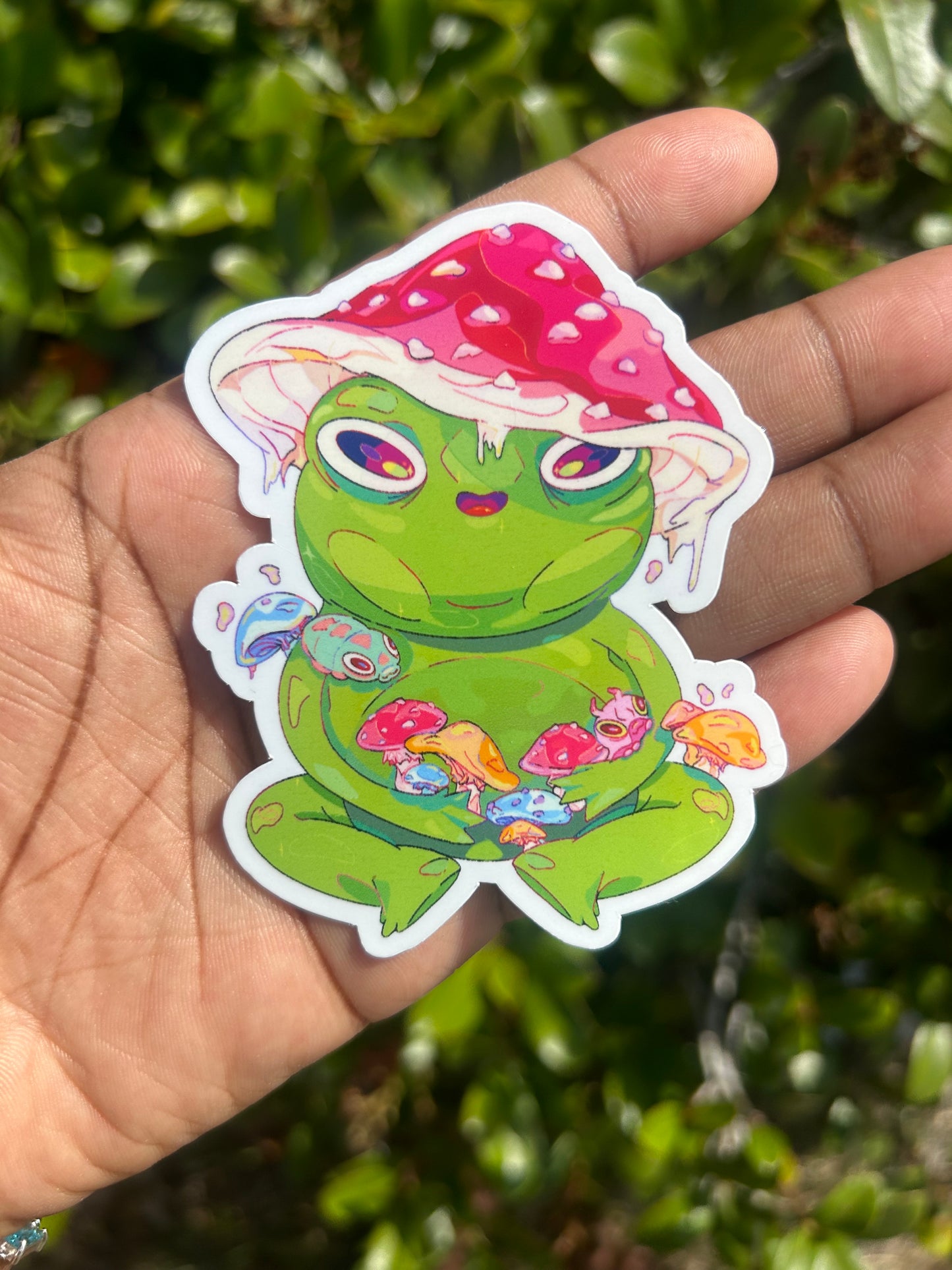 Froggy Boys